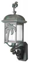 PALM TREE SERIES