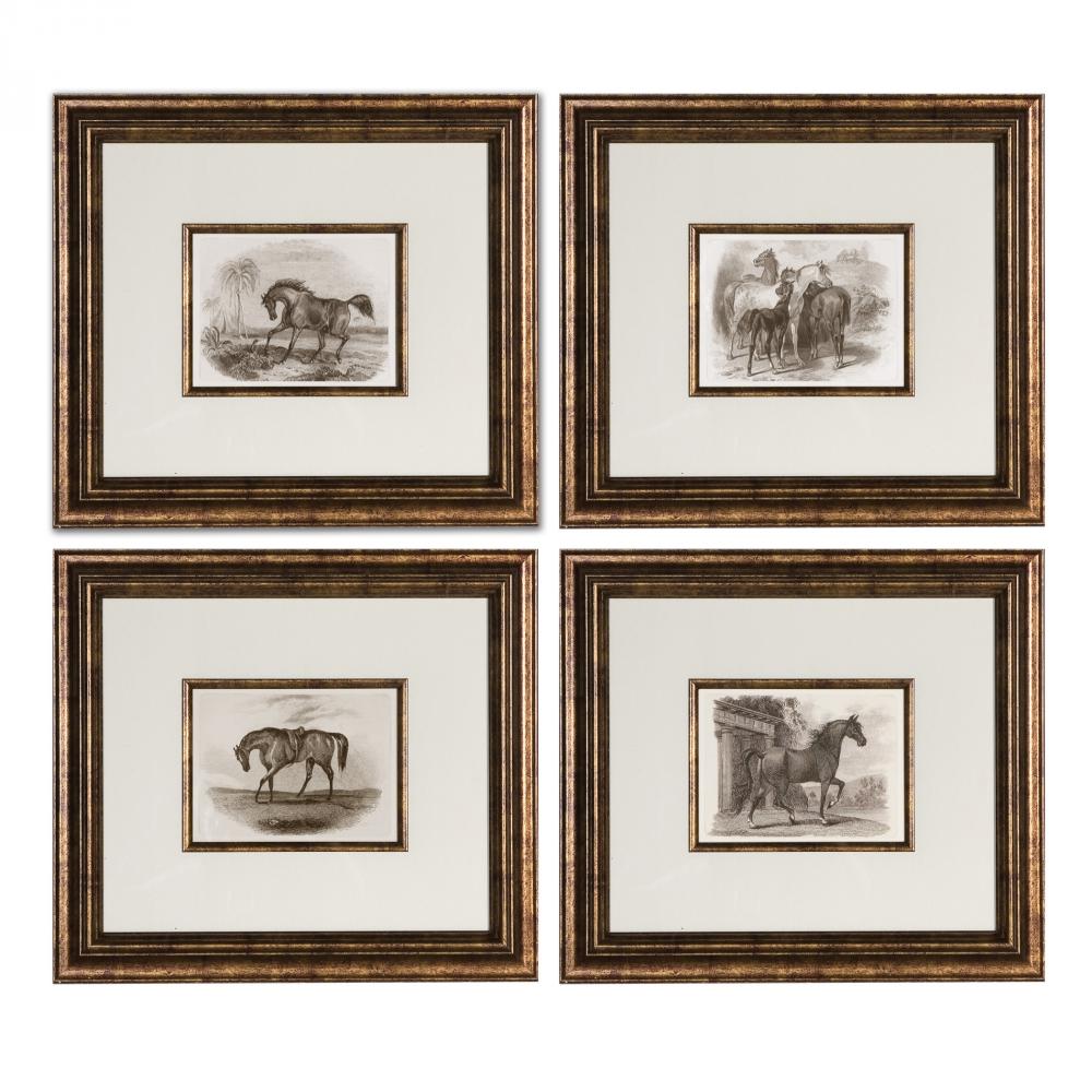 Uttermost Horses Framed Art Set/4